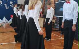 7y